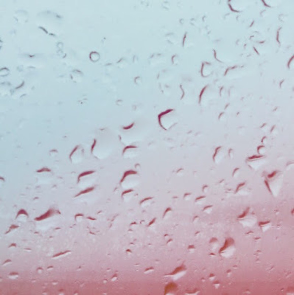 Meet your Posher, Reagan - Picture 1 of 1